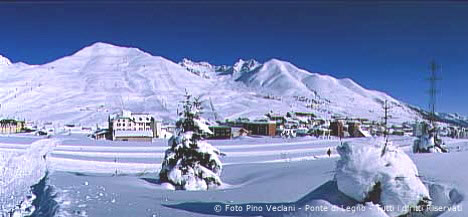 A Marilleva in Val di Sole nel Trentino, sulle Dolomiti del Brenta: alberghi e hotel, residence, appartamenti, Web Cam e settimane bianche a Marilleva 900 e Marilleva 1400.